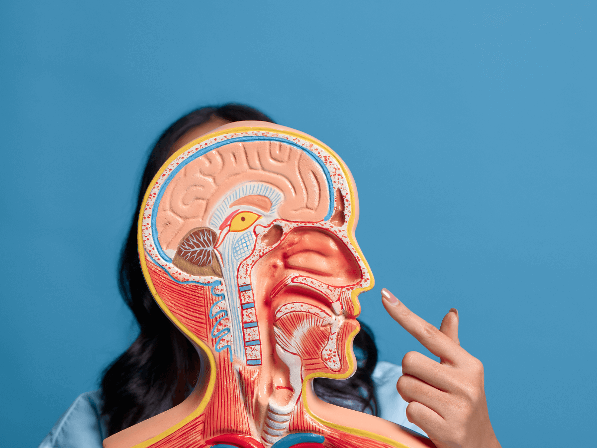 鼻中隔湾曲症の治療方法