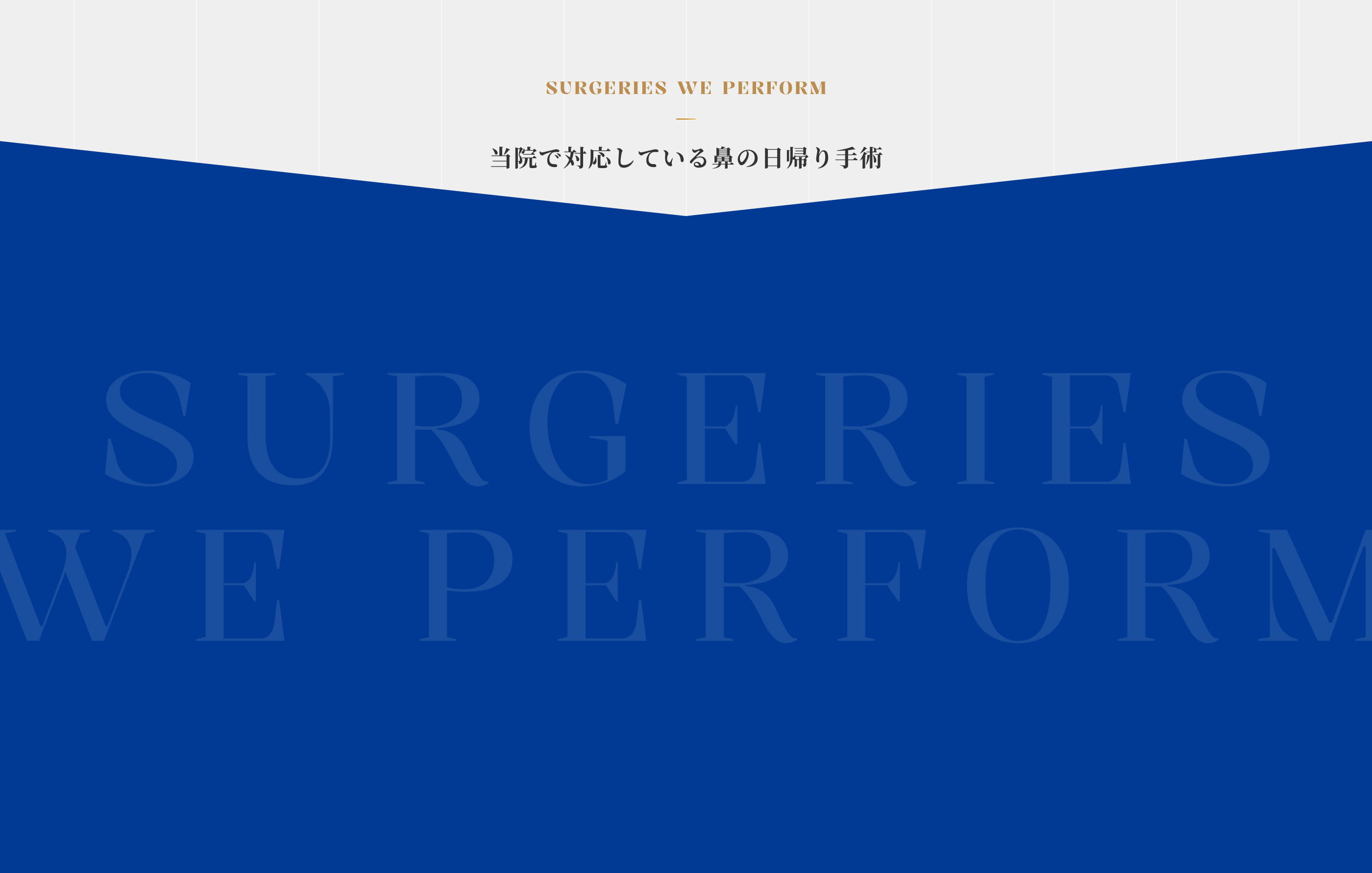 当院で対応している⿐の⽇帰り⼿術