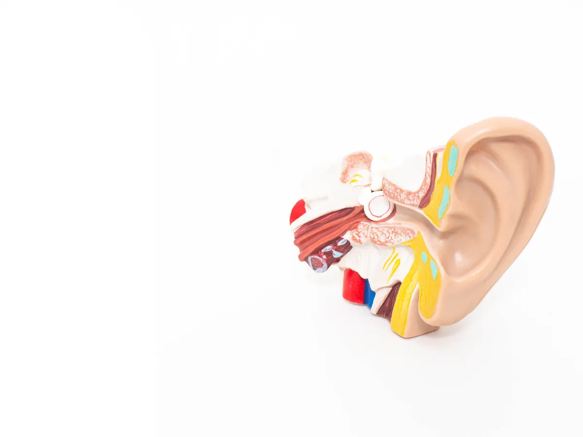 中耳炎を繰り返すのはなぜ？｜原因・治療法・家庭でできる予防法を耳鼻科医が解説